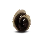 Leguano Dean Mokka Unisex Bőr Barefoot Félcipő